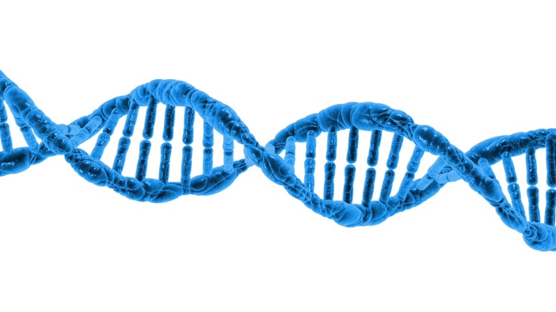 Holocaust Reunion Project DNA Test Kit